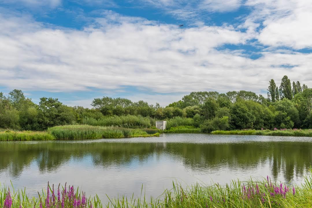 Wwt ロンドン・ウェットランド・センター